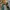 Vintage Look Y2K 2000's Eclair by Hui Beauty Beast photo 2