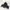Adidas Sneakers Pria black photo 1