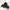 Adidas Sneakers Pria Black