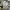 Adidas Sneakers Pria white photo 6