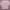 Pink Boatneck Longsleeve ribbed photo 1