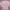 Pink Boatneck Longsleeve Ribbed