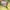 Adidas Sneakers Pria green photo 7