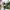 Kalenji Decathlon Waist Bag Running  photo 8