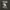 Kaos 2007 Little Britain Live Comedy Tv Show - M