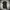 Double Standard Long neck Jacket photo 1
