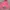 Skater Hat Pria pink photo 4