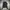 Codes Combine Jacket photo 2