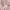 Pink mididress photo 1
