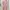 Pink mididress photo 4
