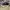 Nike P-6000 CNPT Black & White