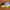 Hoka One One Mach 4 photo 4