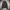 In The Attic Jacket photo 1