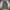 EGOIST Military Parka photo 1