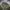 EGOIST Military Parka
