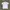 Uniqlo T Shirt Body Tech