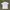 Uniqlo T Shirt Body Tech