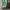 banner roll photo 1