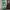 Banner Roll