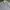 Calvin Klein Streetwear Casual Formal shirt Pria white blue photo 3