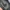 Nike Air Jordan 1 Low SE Craft photo 6