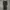 Phase Eight Black Knee-Length Dress photo 4