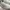 Sepatu Keds Double Decker White Leather Slip-On Sneakers Ked photo 5