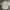 Crocodile Vintage Streetwear Formal shirt Pria white photo 4
