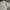 Crocodile Vintage Streetwear Formal shirt Pria white photo 5