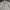Crocodile Vintage Streetwear Formal shirt Pria white photo 3