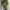 Kaos Official The Simpsons Full Print photo 1