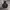 THISISNEVERTHAT HOODIE LOGO BORDIR photo 1