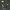 Jacket Schott M65 Field  photo 3