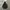 Sky Bomber Fur Hooded Parka Jacket