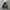 Boycott Fur Hooded Jacket photo 1