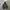 Boycott Fur Hooded Jacket photo 8