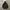 Nano Universe Hybrid Down Jacket photo 7