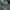 Windbreaker Adidas Wording Woven photo 2