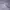 Windbreaker Adidas Wording Woven photo 5
