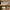 VANS Streetwear Skater Sneakers Pria white gray photo 1