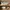 VANS Streetwear Skater Sneakers Pria White Gray