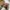 VANS Streetwear Skater Sneakers Pria white gray photo 8