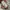 VANS Streetwear Skater Sneakers Pria white gray photo 7