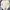 H&M Avant Garde Crop top Wanita cream photo 1