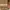 TIMBERLAND Yellow Icon Boots Made in China photo 10