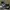 Sepatu Space Jam X Converse Run Star Motion - Size 44 photo 3
