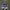 Sepatu Space Jam X Converse Run Star Motion - Size 44 photo 1