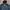 Carhartt Rockford Rain Defender Spring 2018 Jacket  photo 4