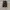Y2k Grunge Emo Goth Arnaldo Bassini Ramones Leather Jacket  photo 4