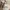 O’mast italy chinos pants 34 photo 3